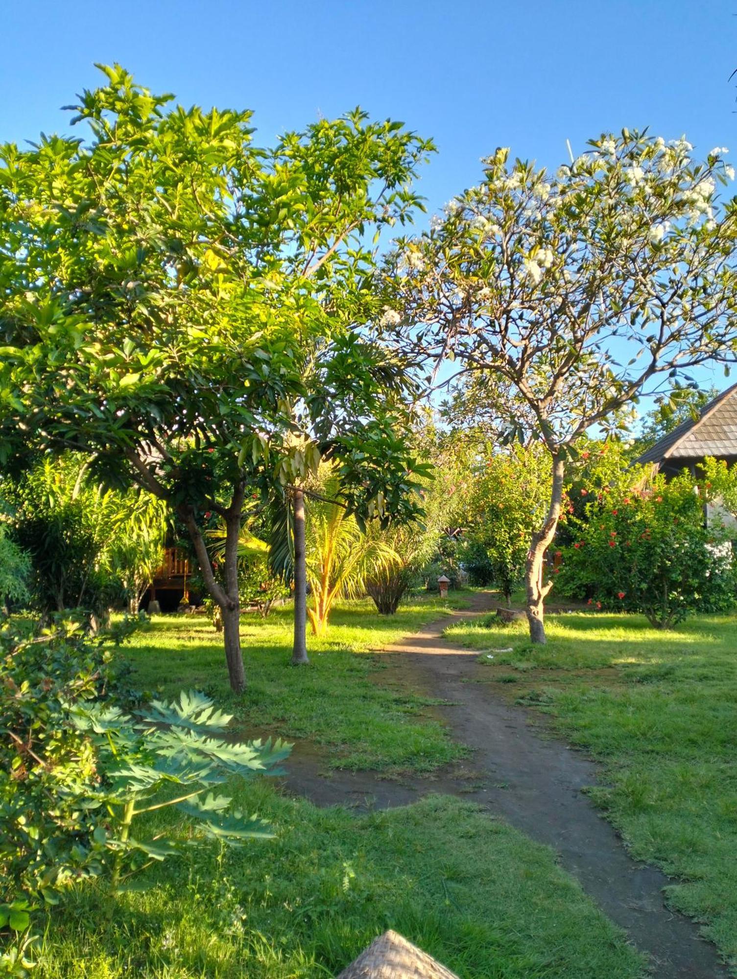 Tangga Bungalows Gili Air Værelse billede