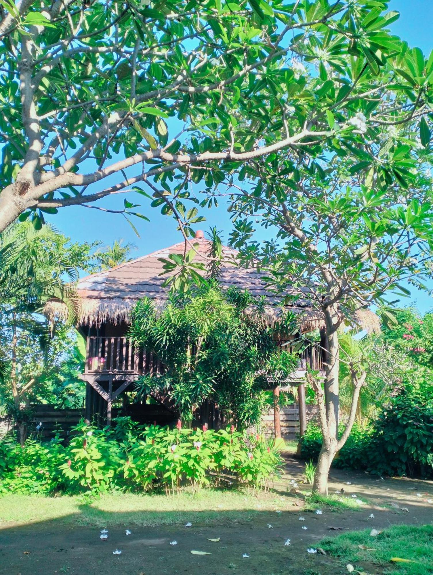 Tangga Bungalows Gili Air Værelse billede