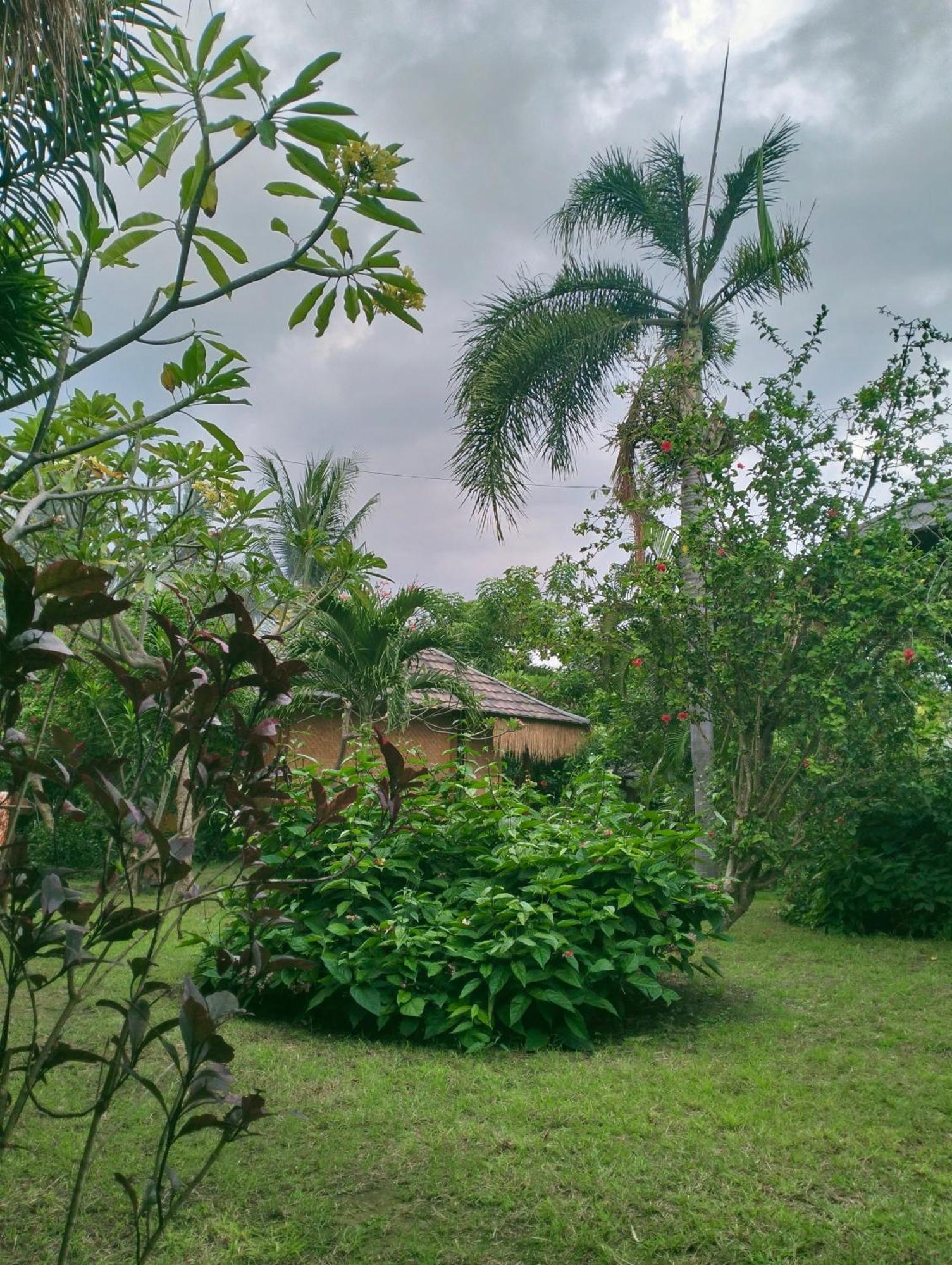 Tangga Bungalows Gili Air Værelse billede
